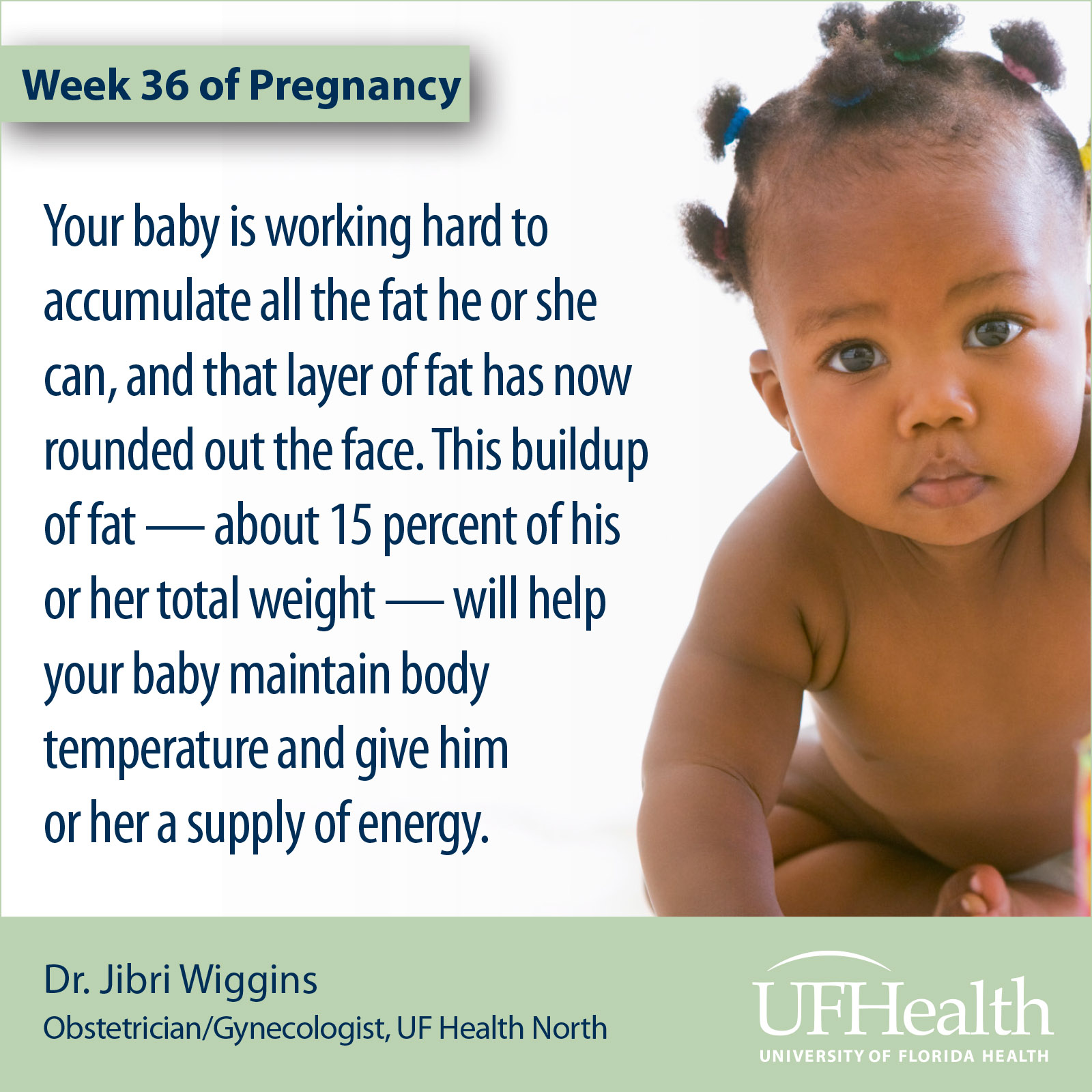 UF Health North pregnancy tip 36