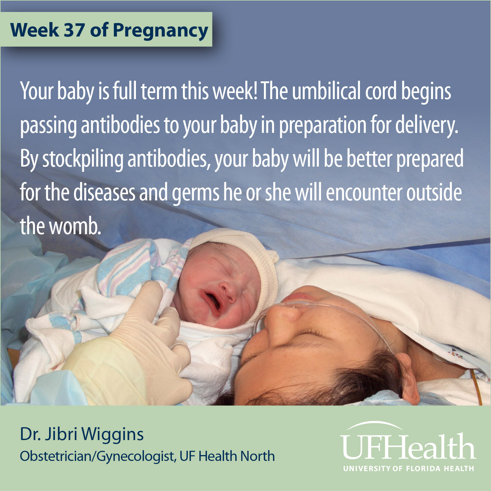 UF Health North pregnancy tip 37