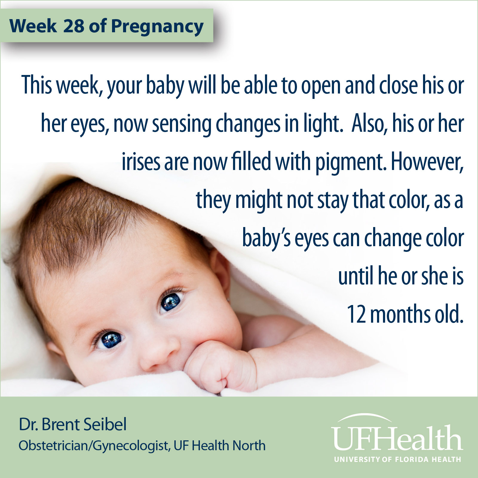 UF Health North pregnancy tip 28