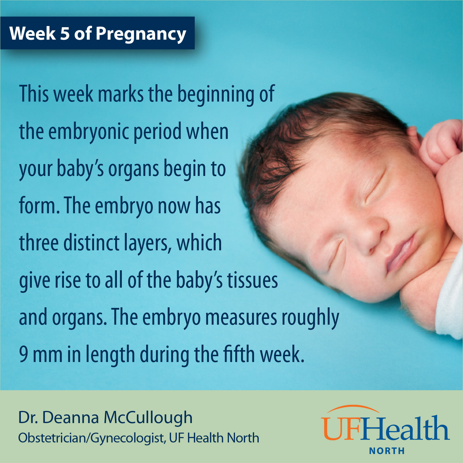 UF Health North pregnancy tip 5